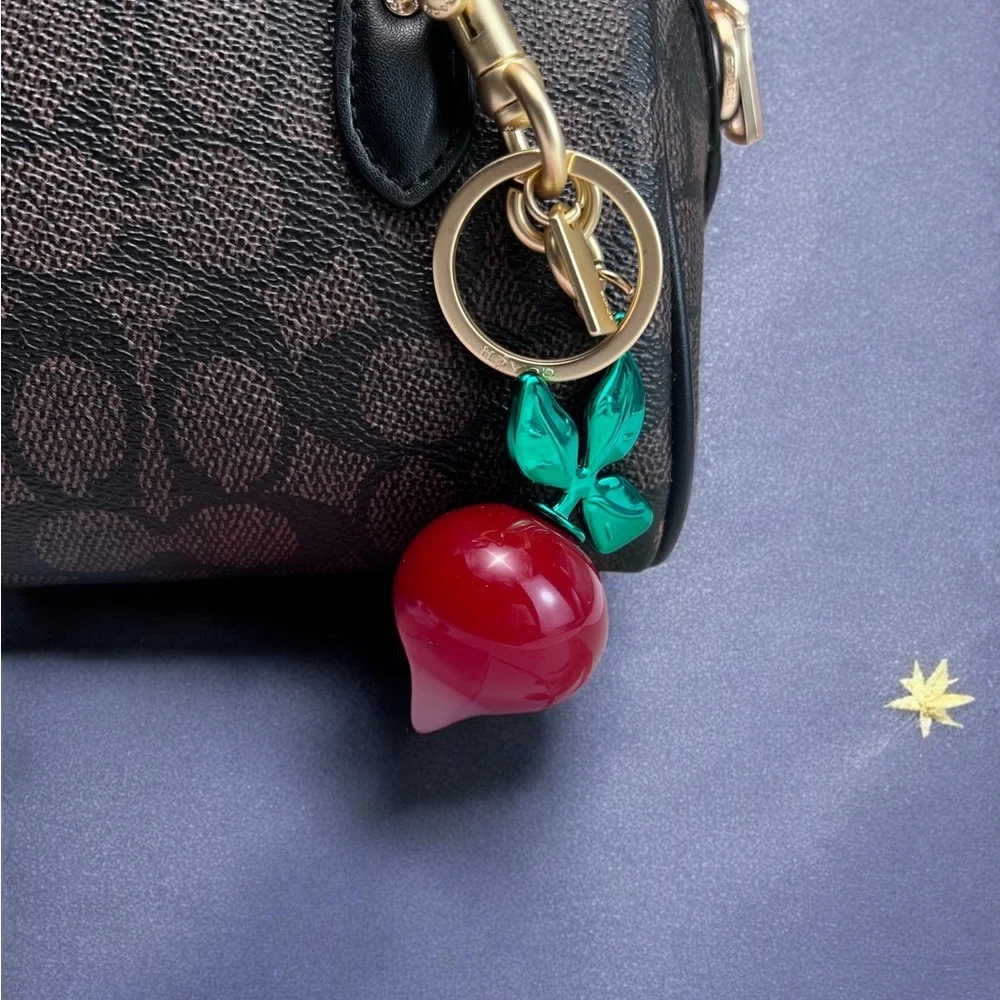 🧀Coach Red and Green Keychain - Picture 4 of 9